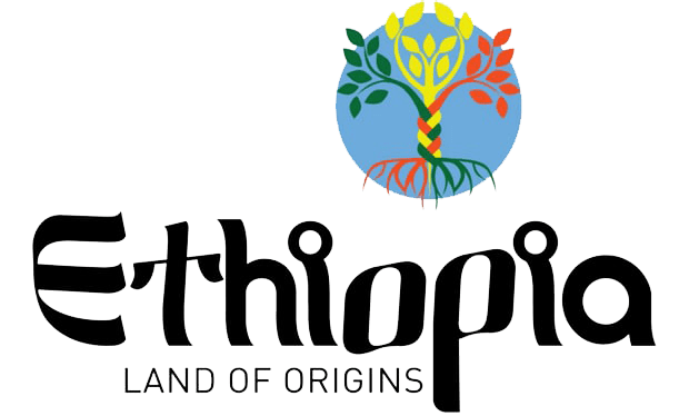 Land of origins